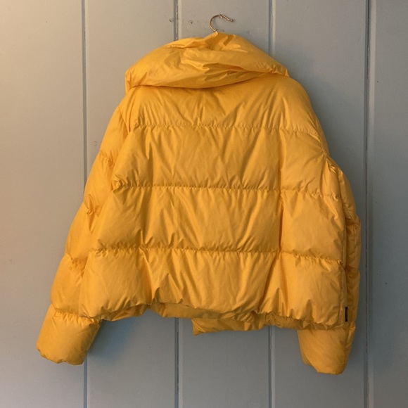 Bacon Yellow Puffer - Picture 4 of 7